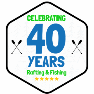 celebrating 40 years logo